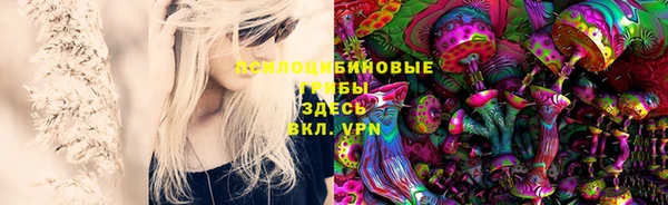 spice Пересвет