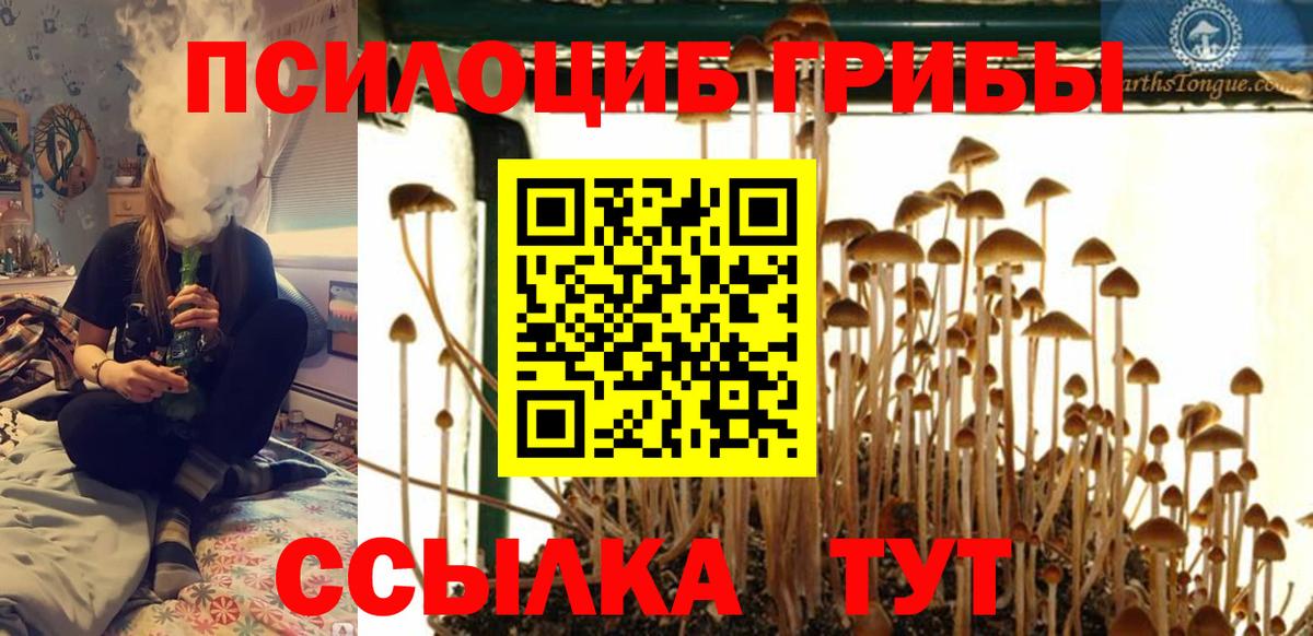 Галлюциногенные грибы ЛСД Асбест